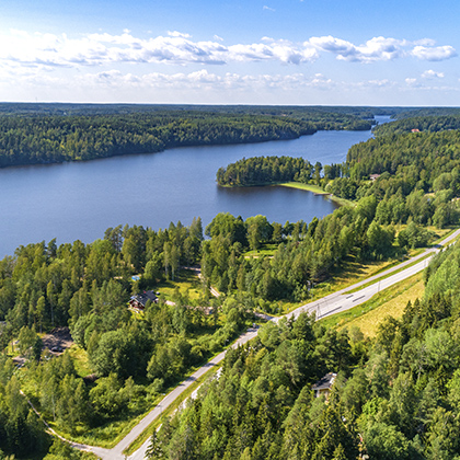 highway, forest, nature, environment, green, trees, water 