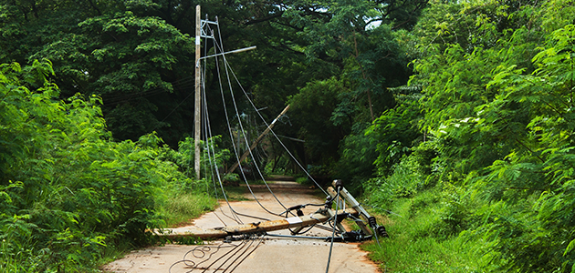 Fallen Power Lines